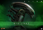 PREVENTA Alien Big Chap
