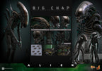 PREVENTA Alien Big Chap