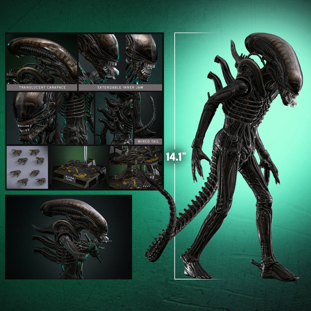 PREVENTA Alien Big Chap